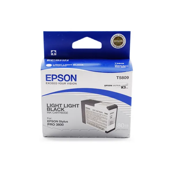 Картридж T580900 светло светло-черный Epson (C13T580900)
