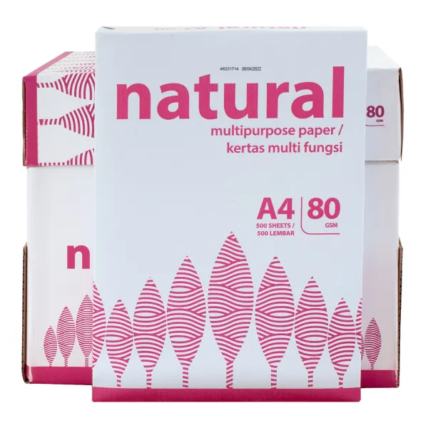 Бумага офисная A4, 80 г/м2, 5 пачек по 500 л, Класс В, IK Natural (IK-NAT-80A4-5)